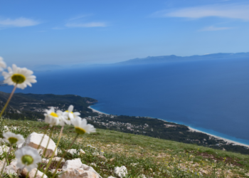 Bregdeti i Palasës në bashkinë e Vlorës/ Foto: Ivana Dervishi-BIRN