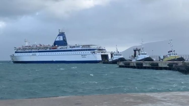 Pamje nga porti