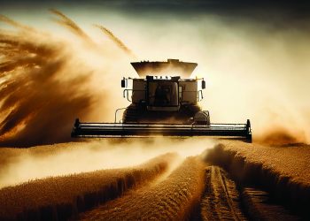 Agriculture machinery cutting the ripe wheat at sunset ,generative artificial intelligence