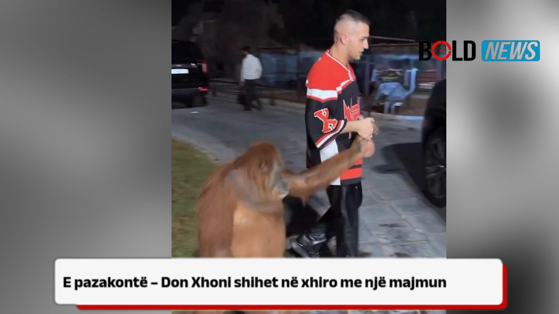 E pazakontë – Don Xhoni shihet në xhiro me majmun