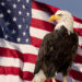 Bald Eagle with Flag United States of America