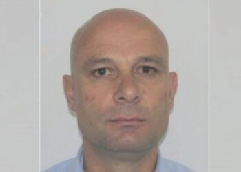 Dedan Gjoni